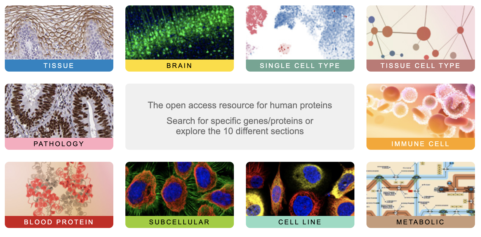 The Human Protein Atlas